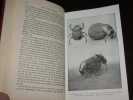 La Vie des Insectes. Morceaux choisis. FABRE (J.-H.)