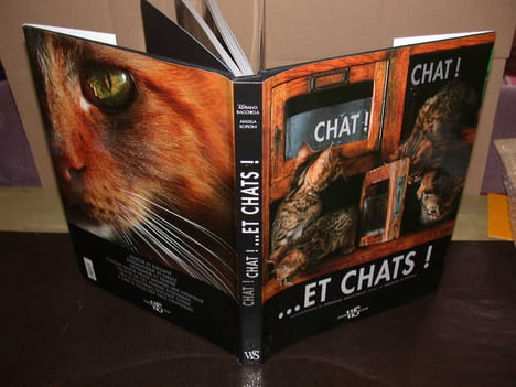 Chat ! Chat !... et Chats. SCIPIONI (Angela)
