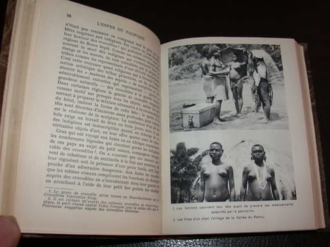 L'enfer du Pacifique chez les cannibales et les chercheurs d'or de la Nouvelle Guinée. DEMAITRE (Edmond)