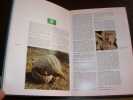 Dictionnaire de zoologie - Complet en deux volumes. PARENTI (Umberto)