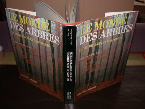 Le Monde des Arbres La vie des bois et des forêts. LES LINE SUTTON (Ann Et Myron)
