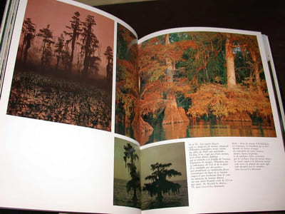 Le Monde des Arbres La vie des bois et des forêts