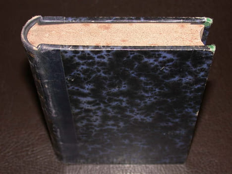 Autour d'une source. DROZ (Gustave)