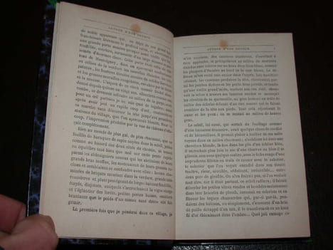 Autour d'une source. DROZ (Gustave)