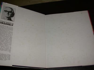 Le musée imaginaire de Vasarely