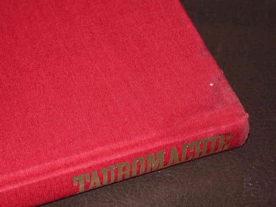 Tauromachie
