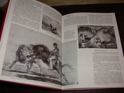 Tauromachie
