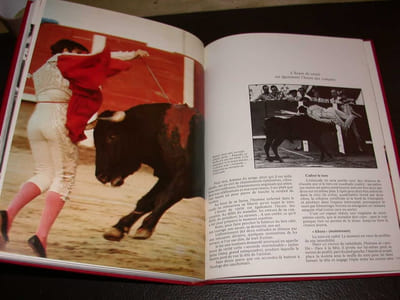 Tauromachie