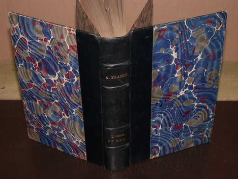 L'Orme du Mail (Histoire contemporaine). FRANCE (Anatole)