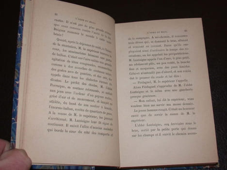 L'Orme du Mail (Histoire contemporaine). FRANCE (Anatole)