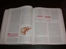 Physiologie animale - M&eacute;canismes et adaptations. ECKERT (Roger)