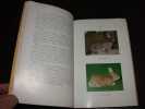Guide de l'&eacute;levage du lapin - Rentabilit&eacute; et M&eacute;decine. VARENNE (H.)  RIVE (M.)  VEIGNEAU (P.)