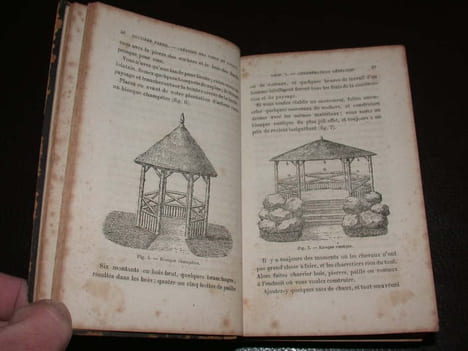 Parcs et jardins. Traité complet de la création des parcs et des jardins de la culture et de l'entretien des arbres d'agrément de la culture des ...
