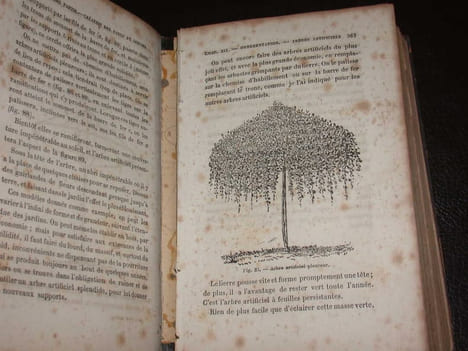 Parcs et jardins. Traité complet de la création des parcs et des jardins de la culture et de l'entretien des arbres d'agrément de la culture des ...
