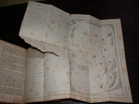 Parcs et jardins. Traité complet de la création des parcs et des jardins de la culture et de l'entretien des arbres d'agrément de la culture des ...
