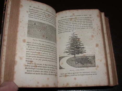 Parcs et jardins. Traité complet de la création des parcs et des jardins de la culture et de l'entretien des arbres d'agrément de la culture des ...