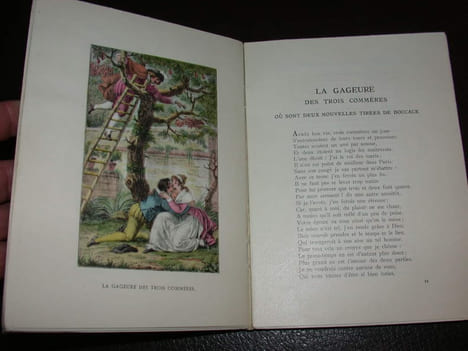 Contes - Illustrations de Nicolas Monsiau - Complet en deux volumes. LA FONTAINE