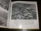 L'Alg&eacute;rie au coeur vue du ciel en 1951. DELVERT (Ray) Photographies  DI MEGLIO (Guy) Texte