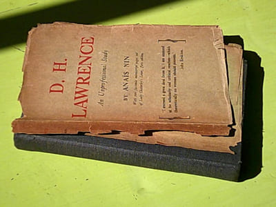 D.H. Lawrence An unprofessional Study - Avec envoi