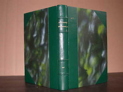 Géographie universelle. Tome XIV : Mexique - Amérique Centrale. SORRE (Max.) VIDAL DE LA BLACHE (P.)