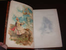 Lettres de mon moulin. DAUDET (Alphonse)