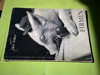 Firmin