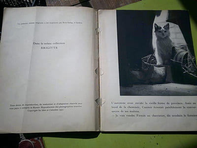 Firmin