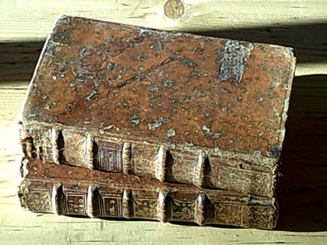 Mémoires pour servir à l'histoire de l'europe - Tomes I et II seuls. undefined