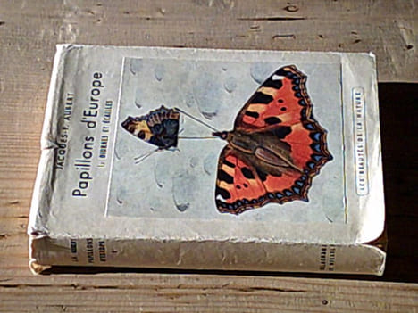 Papillons d'europe. Tome I : Diurnes et écailles. AUBERT Jacques-F