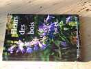 Fleurs des bois. RYTZ Walter