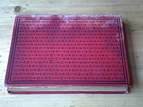 Promenades japonaises Tokio-Nikko / illustr. Félix Regamey. GUIMET Emile