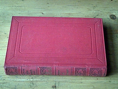 La jeunesse des hommes célèbres