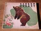 Bourru l'ours brun. LIDA