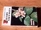 Fleurs sauvages. RARAY Jean