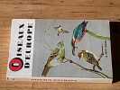 Oiseaux d'europe. BRUUN Bertel