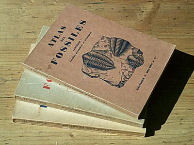 Atlas des fossiles - Complet en trois fascicules