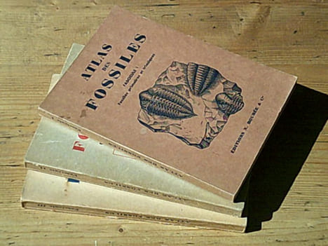 Atlas des fossiles - Complet en trois fascicules. DENIZOT Georges