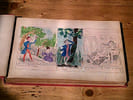 Histoire de Mr Vieux-Bois. TOPFFER