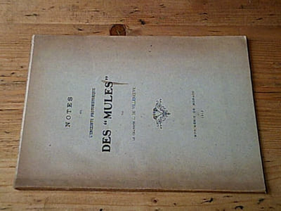 Notes sur l'enceinte protohistorique des "mules"