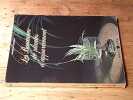 Les boutures de plantes d'appartement. CRAYSON Suzanne