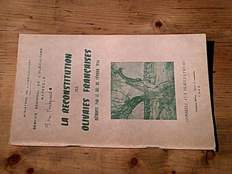 La reconstitution des olivaies françaises détruite par le gel de février 1956 - Conseils aux oléiculteurs. BONNEL Pierre