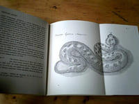 Histoire naturelle de l'egypte 1581-1584 / 2 tomes