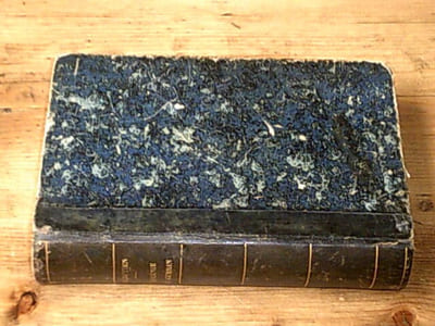 Eugénie de Guérin - Journal et lettres