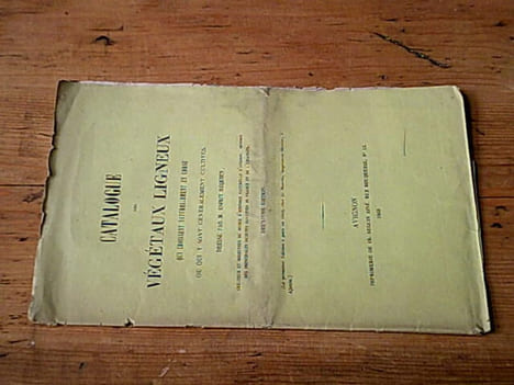 Catalogue des végétaux ligneux qui croissent naturellement en corse ou qui y sont généralement cultivés. ESPRIT REQUIEN M