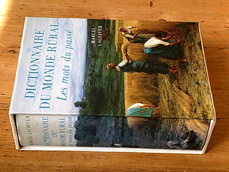 Dictionnaire du monde rural - Les mots du passé. LACHIVER Marcel