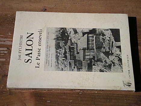 Salon - Le Passé enseveli. SYLVESTRE Joël