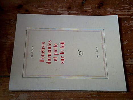 Fenêtres dormantes et porte sur le toit. René Char