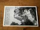 Bulletin p&eacute;riodique de la Soci&eacute;t&eacute; des excursionnistes marseillais - 1er janvier 1973 (n&deg; 1). Collectif
