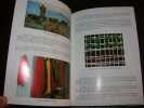 Main d'Oeuvre. Tapis Turcs Contemporains. AYYILDIZ (Ugur)
