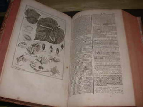 Dictionnaire Oeconomique Contenant Divers Moyens D'Augmenter Son Bien et De Conserver Sa Santé - 1741. NOEL CHOMEL (M.) MARRET (J.)